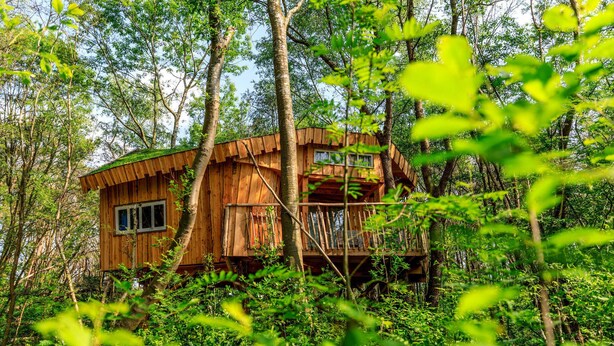 Una casa en un árbol de madera con balcón, rodeada de un bosque denso.