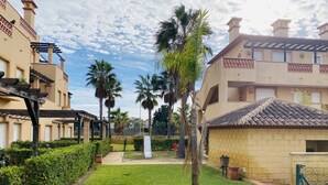 A courtyard with a grassy area, palm trees, and a playground.