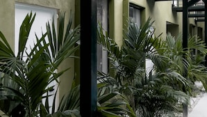 Área externa coberta com piso de concreto, cercada por plantas verdes exuberantes e um guarda-corpo de metal.