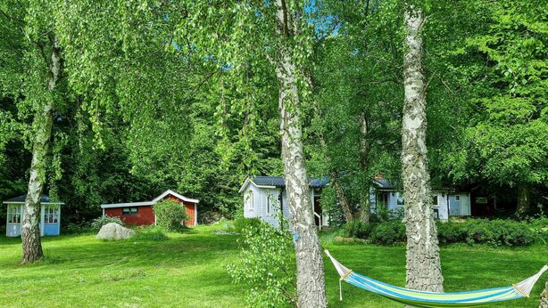 Een hangmat in een grasrijk gebied met bomen en kleine huisjes.