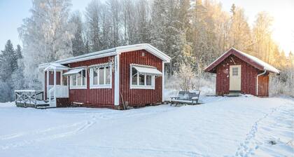 2 bedroom amazing home in Rottneros