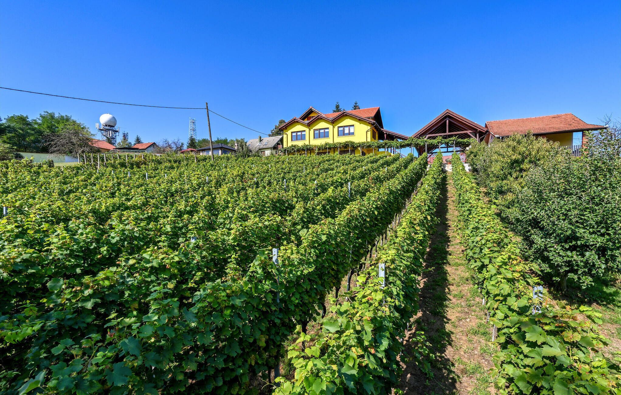 Área da propriedade