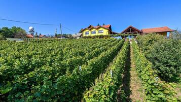 Áreas de la propiedad