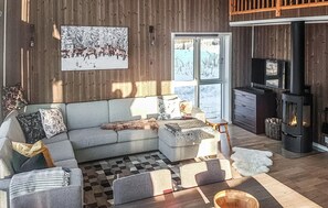 Fernseher, Kamin
