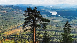 Eine gebirgige Landschaft mit dichtem Wald und einem Fluss.
