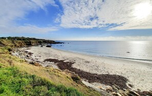 Beach nearby, fishing