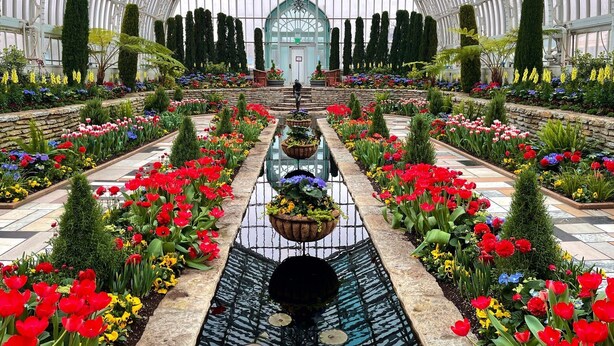 Serra con tetto in vetro, file di fiori e una fontana al centro.