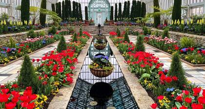 Charming, cozy urban cottage by Como & MN State Fair with Renovated rustic den