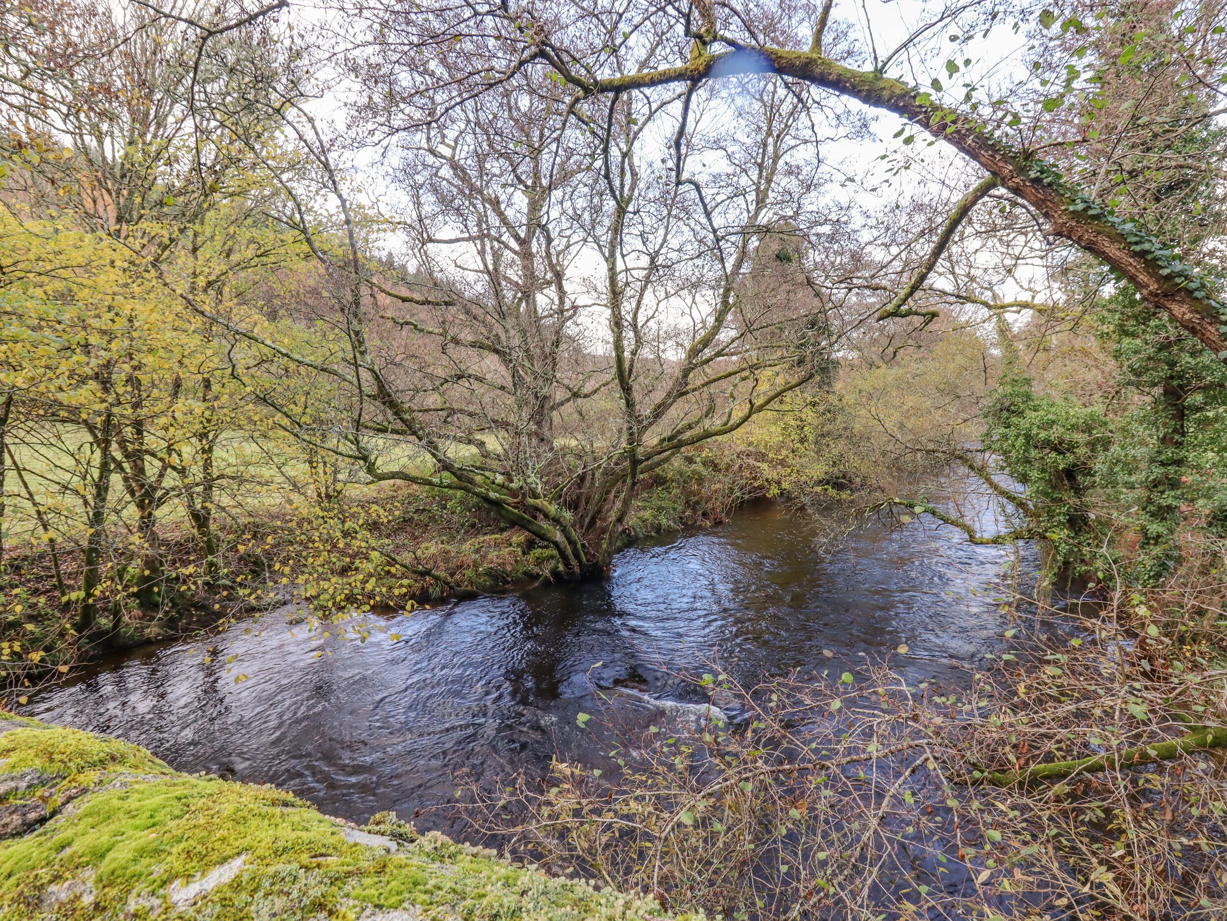 Een natuurlijk landschap met een rivier, bomen en rotsen begroeid met mos.