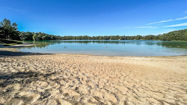 A sandy beach with calm water, trees, and a clear sky.