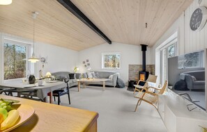 Fernseher, Kamin
