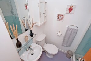 Ducha, secador de pelo y toallas
