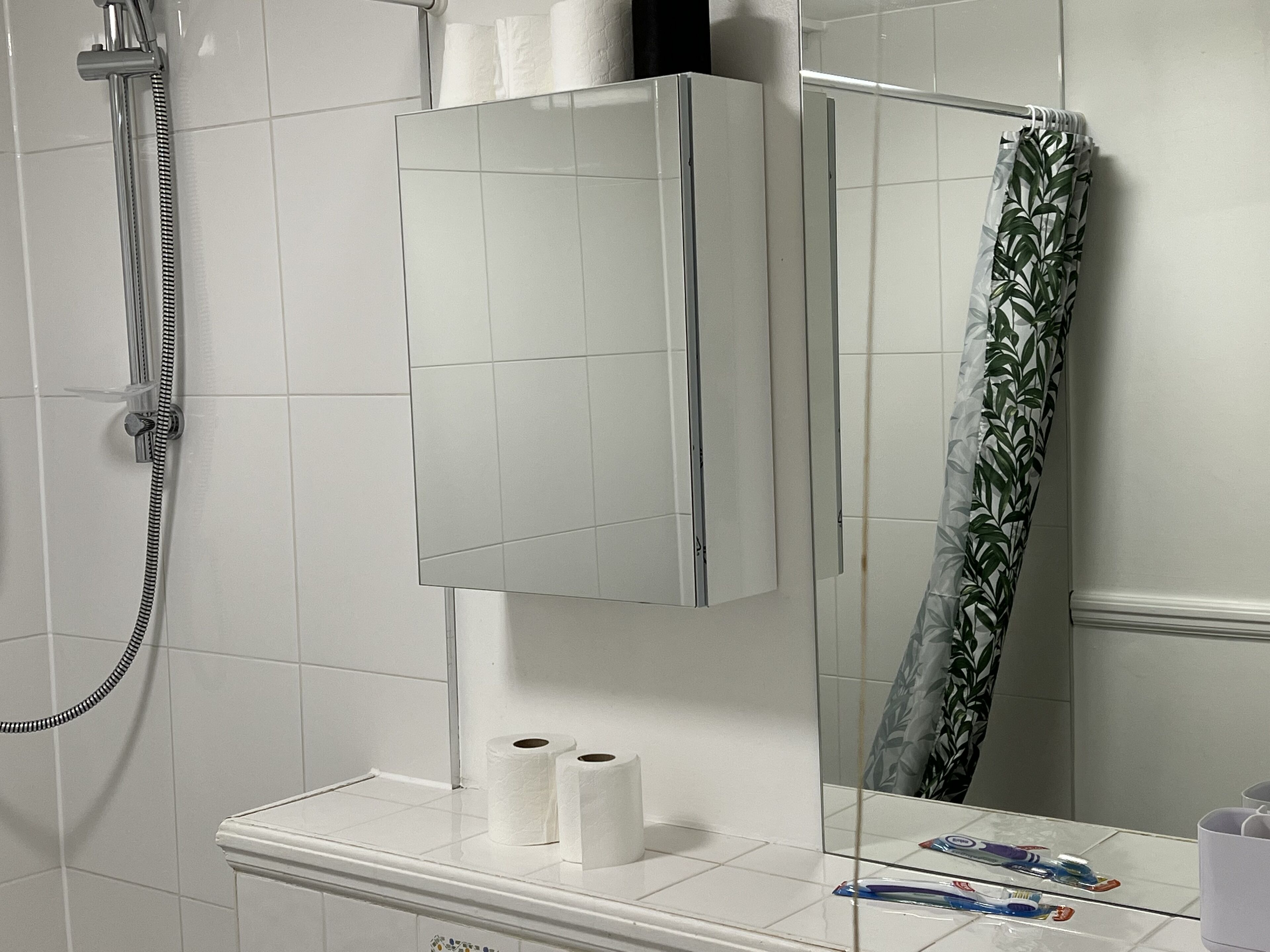Ein Badezimmer mit Dusche, Toilettenpapier und Spiegel.