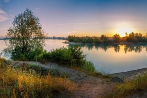 En stilla vy över en sjö med klar himmel, lugnt vatten och ett ensamt träd.
