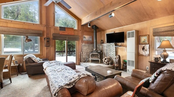 TV, fireplace, books, offices