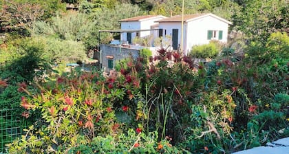 VILLETTA SANT'ANDREA - VILLETTA SANT'ANDREA