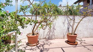 Ein Dachgarten mit Kübelpflanzen und einer Pergola.