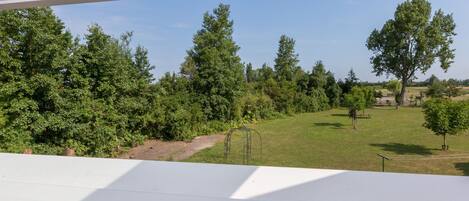 Vista desde una ventana sobre un área verde con árboles y cielo despejado.