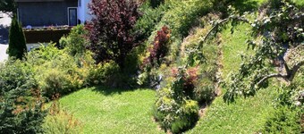 Ferienhaus en Willingen con jardín propio