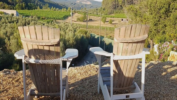Zwei Adirondack-Stühle, die auf einen Weinberg mit einem Kiesweg und einem kleinen weißen Gebäude im Hintergrund blicken.