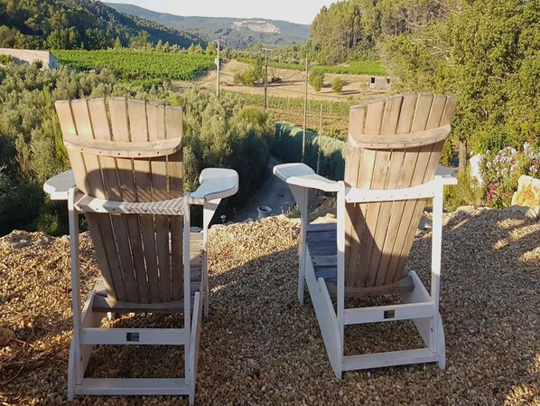 Property grounds - Villa in Provence with Pool and Vineyard Views (Saint-Antonin-du-Var)