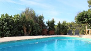 Ein Schwimmbecken mit einer Holzterrasse, umgeben von verschiedenen Pflanzen und Bäumen.