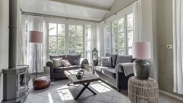 TV, fireplace, DVD player