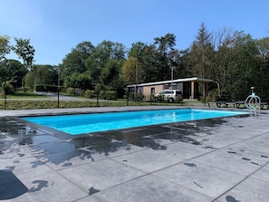 Pool - Holiday Home in Holten near Sallandse Park (Rijssen)