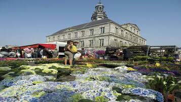A flower market with various plants and flowers on display, set against a historic building with a clock tower.