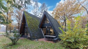Uma casa moderna com telhado inclinado e janelas grandes, cercada por árvores e uma área gramada.