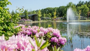 A serene lakeside setting with a fountain, surrounded by lush greenery and blooming flowers. - Peaceful Stay Near Trails (Veldhoven)