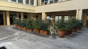 Um pátio amplo com piso de azulejos, cercado por grandes vasos de plantas e um espelho d'água central.