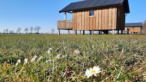 Una cabaña de madera con balcón, ubicada en un campo lleno de margaritas.