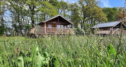Lodge an Wiesen mit Veranda in den Niederlanden