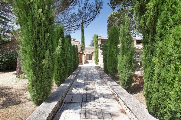A stone pathway leading to a building with a tiled roof, flanked by tall evergreen trees.