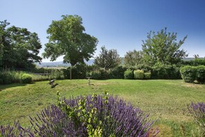 A grassy outdoor area with trees and a clear sky. - Apartment in Bonnieux near Lavender Fields (BONNIEUX)