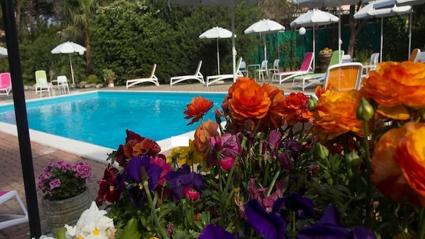 Un área de piscina con sillas de descanso y sombrillas, rodeada de flores coloridas.