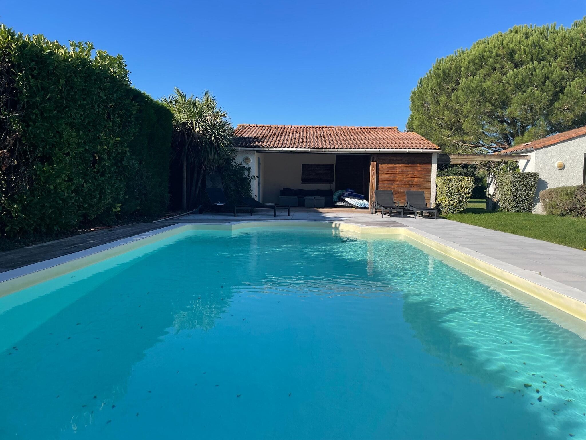 A heated pool, sun loungers