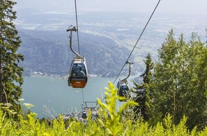Two cable cars suspended over a lake with a mountainous landscape in the background.