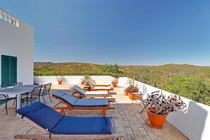 Une terrasse sur le toit, aménagée avec des chaises longues, une table et des plantes en pot.