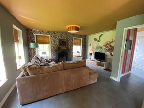 Televisión, chimenea, reproductor de DVD