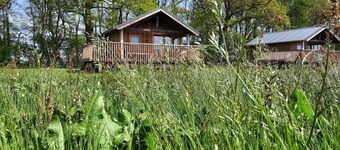 Lodge in Drenthe with Scenic Veranda