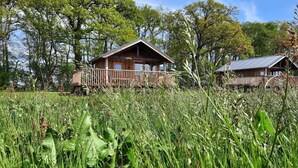 A cabin with a wooden exterior and a metal roof, surrounded by tall grass and trees. - Lodges in Drenthe with Scenic Meadow Views (Ruinerwold)