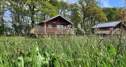 Lodges in Drenthe mit Wiesenblick