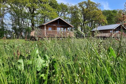 Lodges en Drenthe con Vistas a Praderas