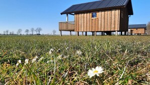A wooden cabin with a balcony, situated in a grassy field with daisies. - Lodges in Drenthe with Scenic Meadow Views (Ruinerwold)
