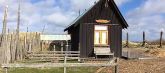 Sunny Bungalow in Heart of Texel