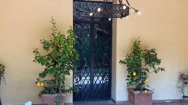 A door with intricate metalwork, flanked by potted plants with green foliage and yellow fruits, possibly lemons, on a tiled patio.