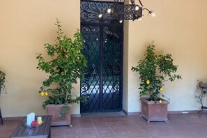 Una porta con decorazioni in metallo elaborate, affiancata da vasi con piante a foglie verdi e frutti gialli, probabilmente limoni, su un patio piastrellato.