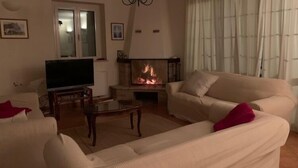 Un salon avec une cheminée, un téléviseur et un canapé.